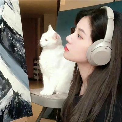 小狗丹的物语